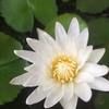 nhan8282f6